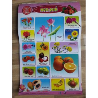 Tranh Treo Tường Bách Khoa Toàn Thư Cho Bé