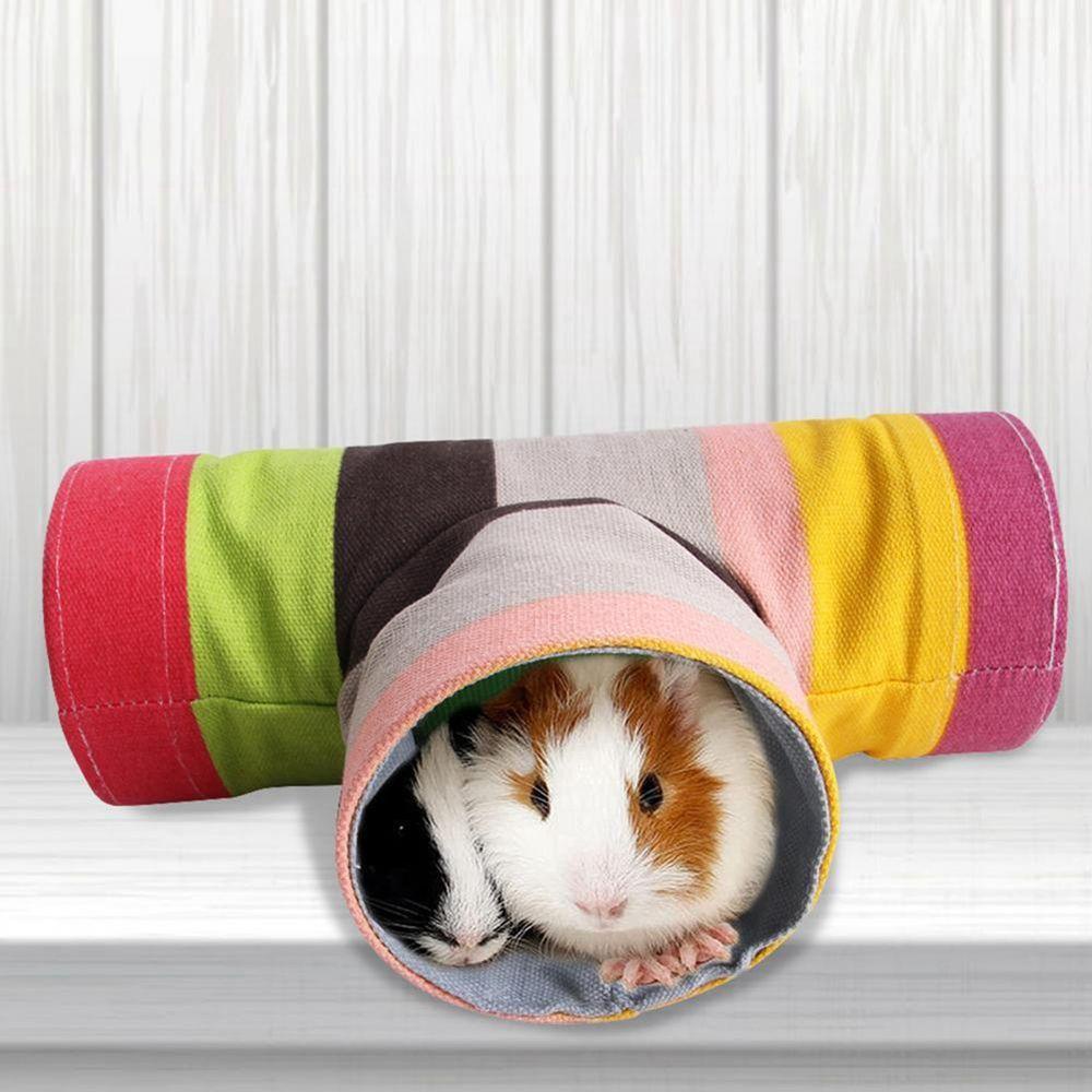 Đường Hầm Mini Cho Thú Cưng Nhỏ Xinh Xắn
