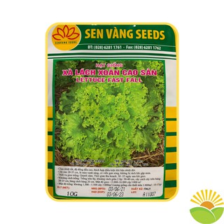[10g] Hạt Giống Xà Lách Xoăn Xanh