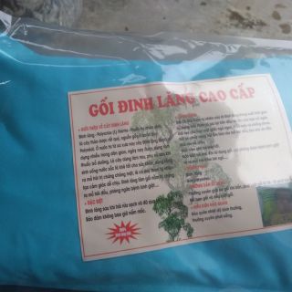 Gôí đinh lăng cho bé