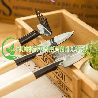 BỘ DỤNG CỤ LÀM VƯỜN MINI 3 MÓN TIỆN DỤNG