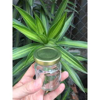 50 hủ thủy tinh 70ml, nắp thiếc
