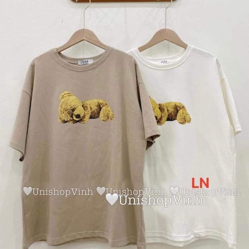 Áo phông gấu vàng nằm DA6