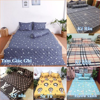 Chăn hè đẹp trần bông cotton poly sét 5 món (Được lựa mẫu)