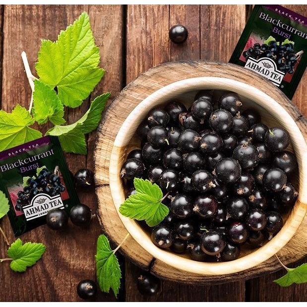 TRÀ AHMAD ANH QUỐC - PHÚC BỒN TỬ  - Blackcurrant Burst