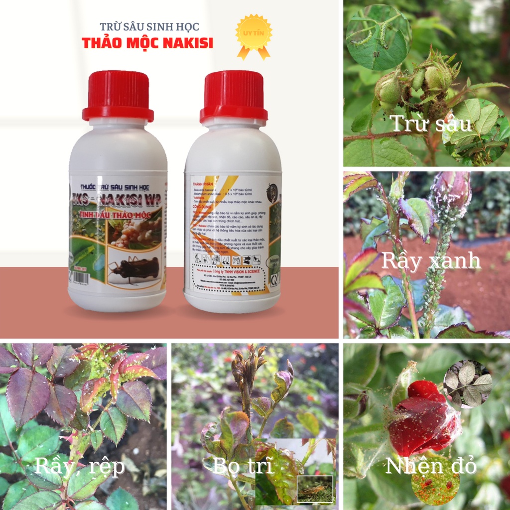 Bộ 5 Phân Bón Sinh Học Chăm Sóc Và Dưỡng Cây Hoa Hồng Tại Nhà