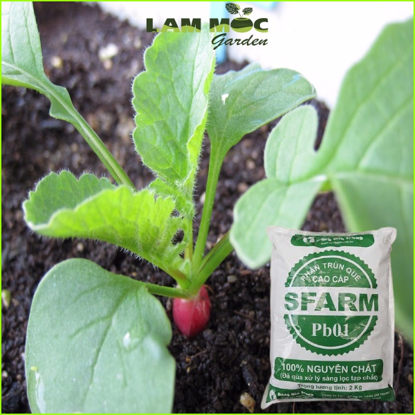 Phân Trùn Quế Cao Cấp Nguyên Chất Sfarm 2 Ký - Trồng Rau Màu Và Hoa Kiểng