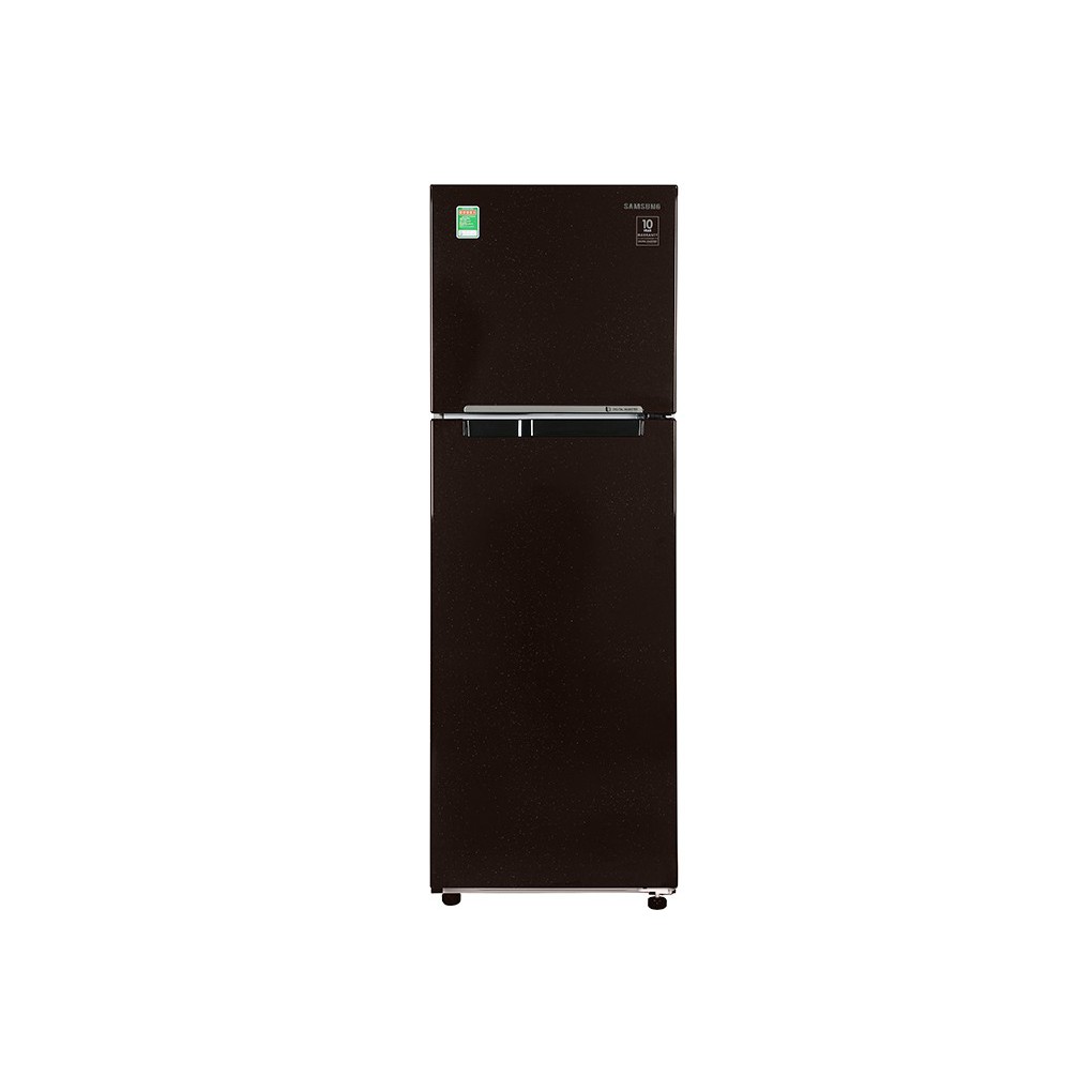 Tủ lạnh Samsung 256 lít Inverter RT25M4032BY/SV