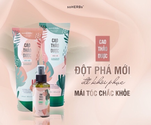 Dầu gội cao thảo dược chống rụng tóc phục hồi hư tổn