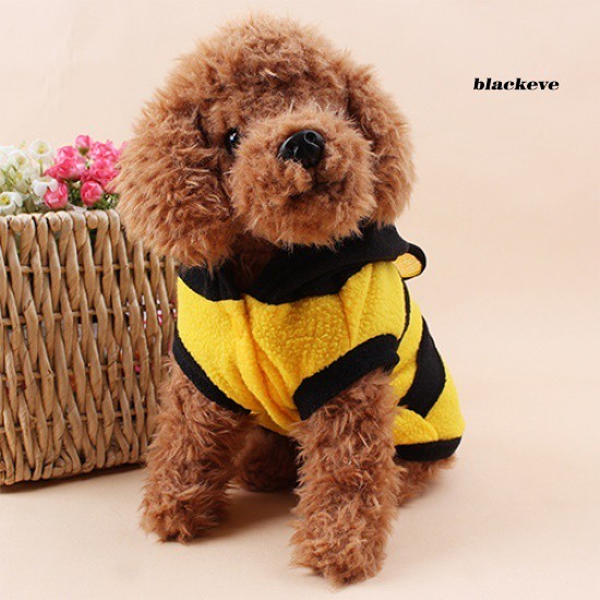 Bộ đồ hóa trang chú ong dễ thương ngộ nghĩnh cho thú cưng