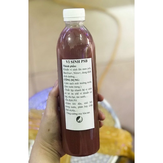Vi sinh PSB - làm trong nước hồ(chai 500ml)