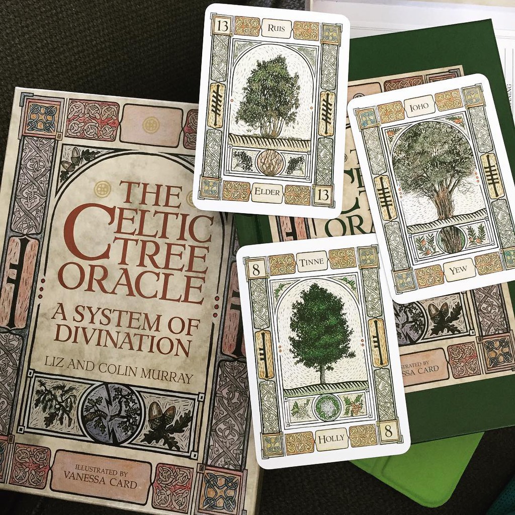 Bộ Bài Celtic Tree Oracle – A System of Divination (Mystic House Tarot Shop)