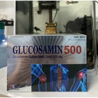 GLUCOSAMIN 500 - HỖ TRỢ TĂNG TIẾT DỊCH KHỚP
