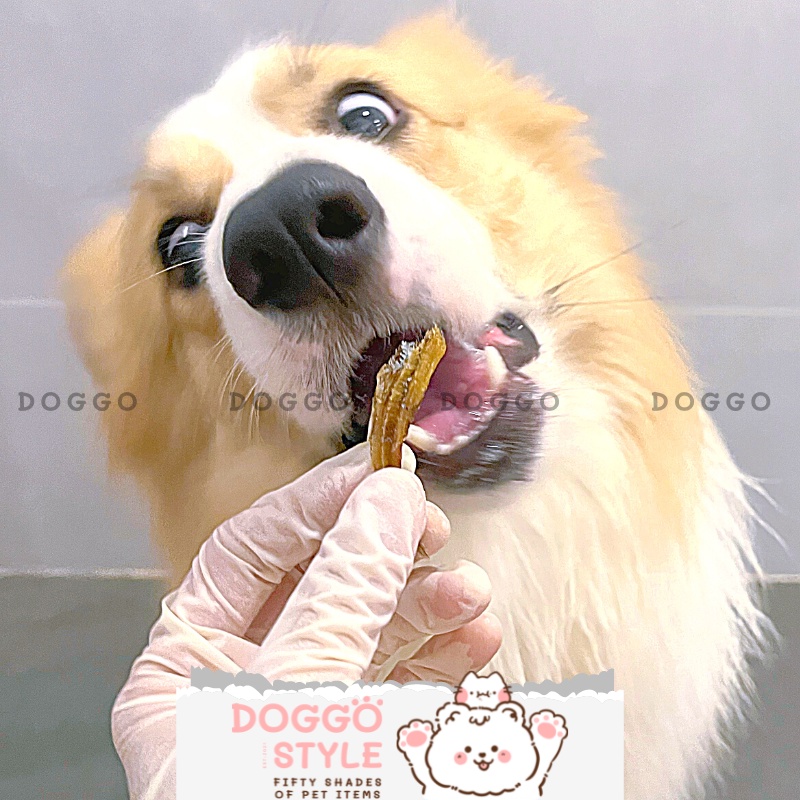 Treat Bánh Thưởng Cho Chó Mèo Cá Cơm Tươi Sấy Khô DOGGOSTYLE Homemade Cung Cấp Protein Omega 3 Giúp Mượt Lông