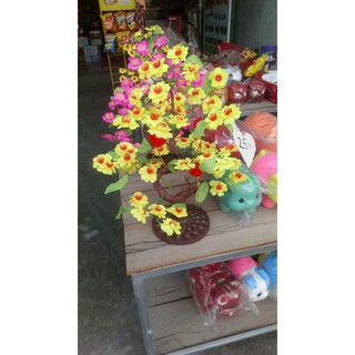 Cây mai giả giá rẻ