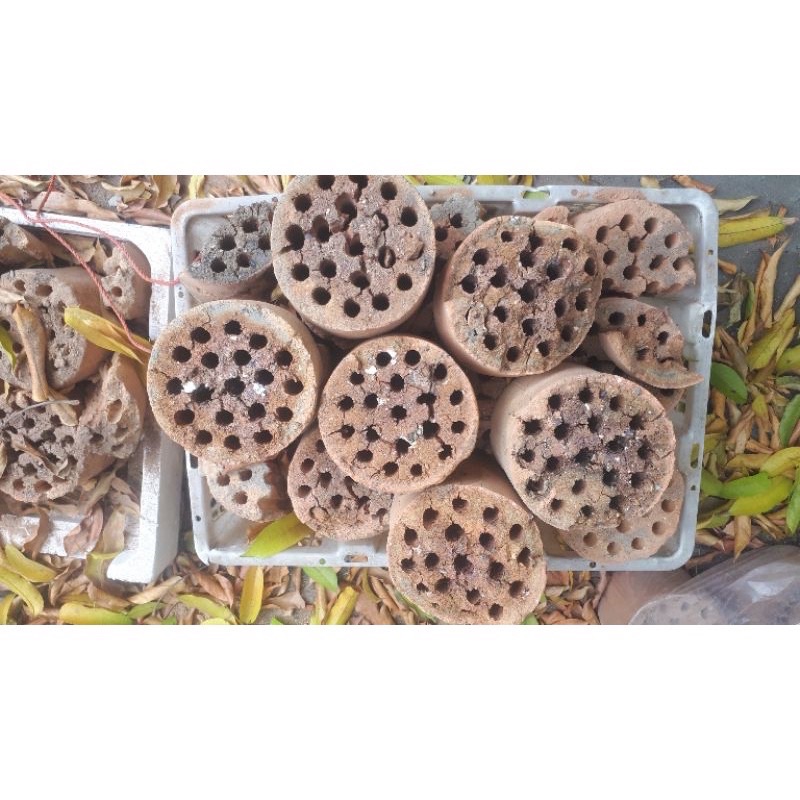 (Giá CỰC rẻ) 1 kg kh XỈ THAN trồng cây, lót nền bể cá, vệ sinh chó mèo đã qua XỬ LÝ