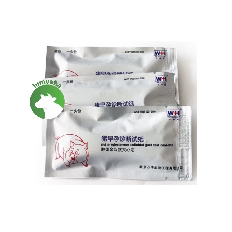 Que thử thai lợn gia xúc trâu bò phát hiện thai sớm VA34