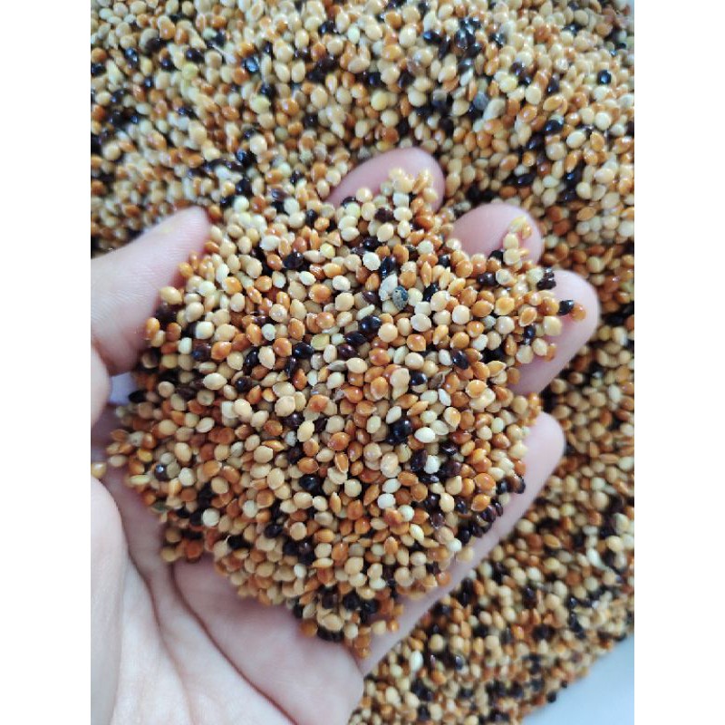 Thức ăn chim cu gáy (1kg)
