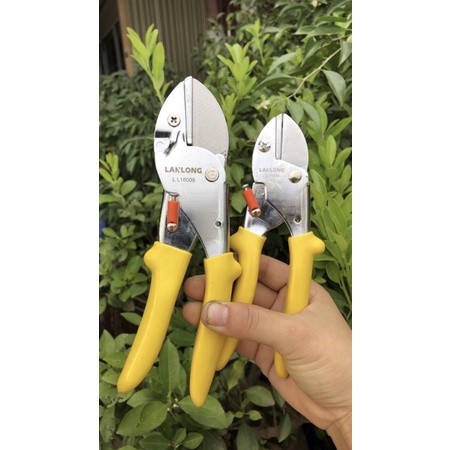 Kéo cắt cành cộng lực lan long