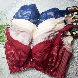 Áo ngực big size đệm mỏng có gọng DE272-đủ màu