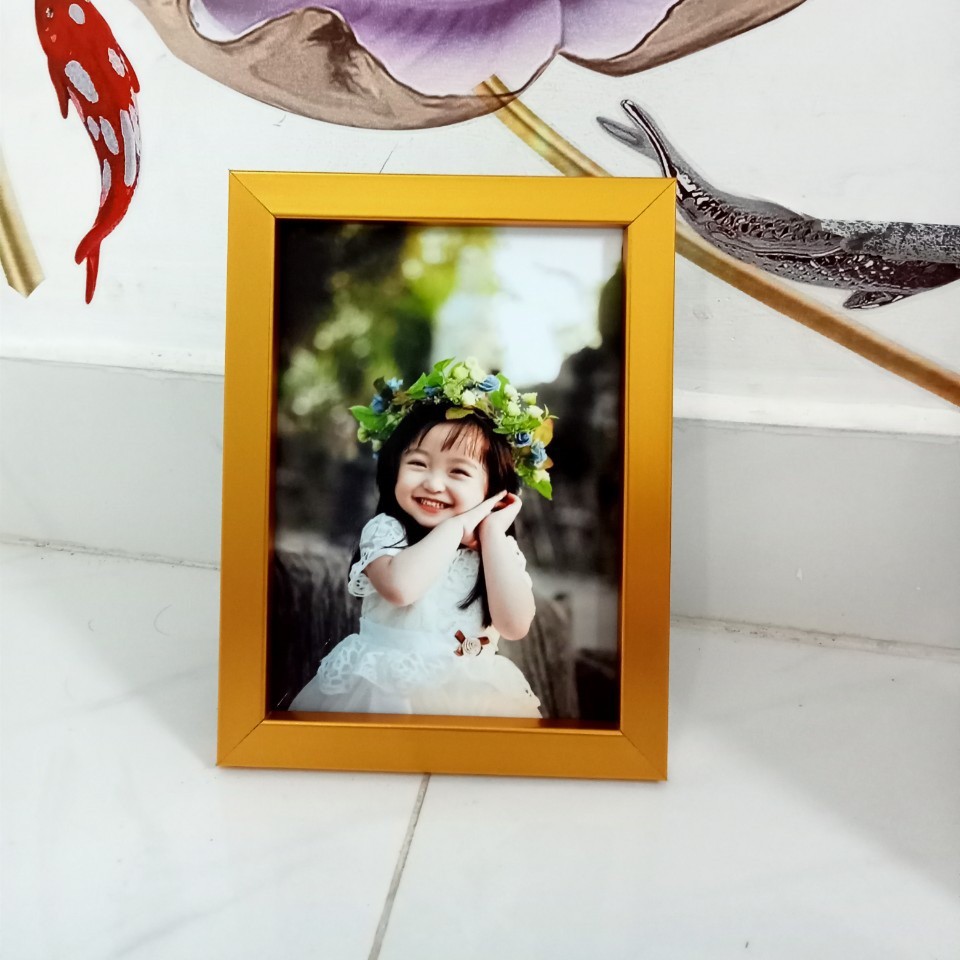 Khung tranh gia hân