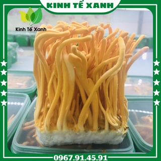 Đông Trùng Hạ Thảo Tươi, Đông Trùng Hạ Thảo NẤM NGON VIỆT