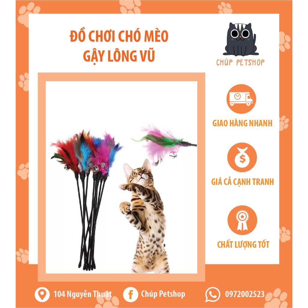 Cần Câu Mèo, Đồ Chơi Cho Pet