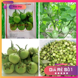 Hạt giống cà pháo xanh cao sản -2gr LUCKY.VN