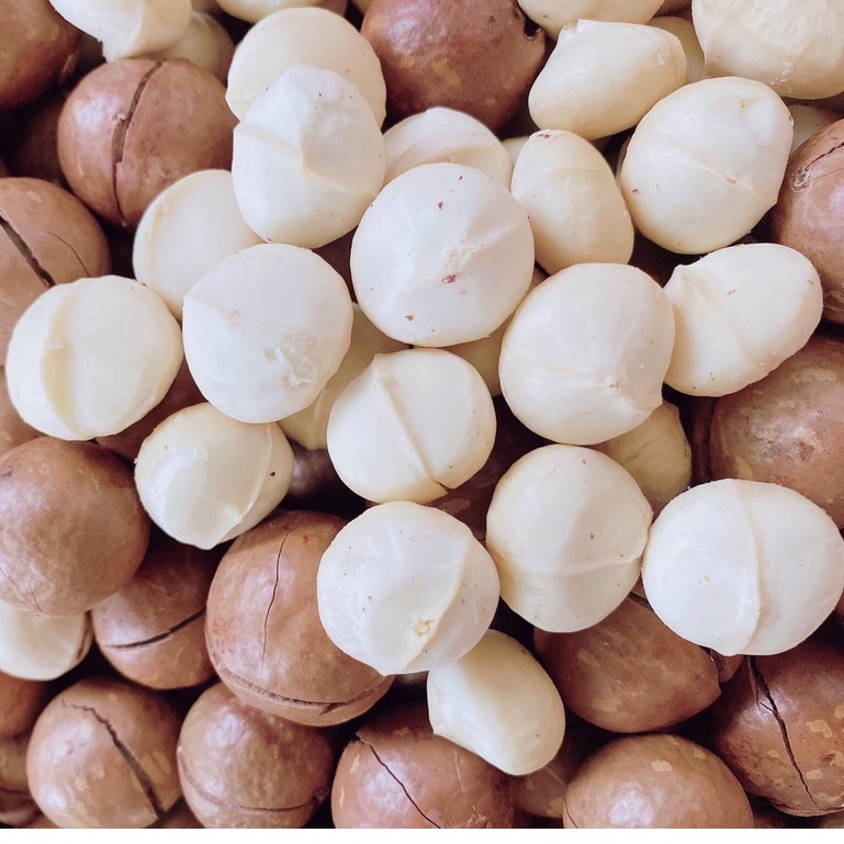 [Size Đại] Macca Đắk Lắk Organic sạch nhà trồng size quả to loại 1 - Giòn tan béo bùi - 500gram | BigBuy360 - bigbuy360.vn