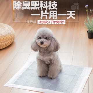 1 Miếng Lót Vệ Sinh Than Hoạt Tính