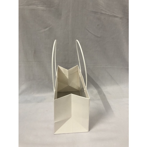 Túi giấy trắng mặt kiếng có quai xách có 3 kích thước/túi