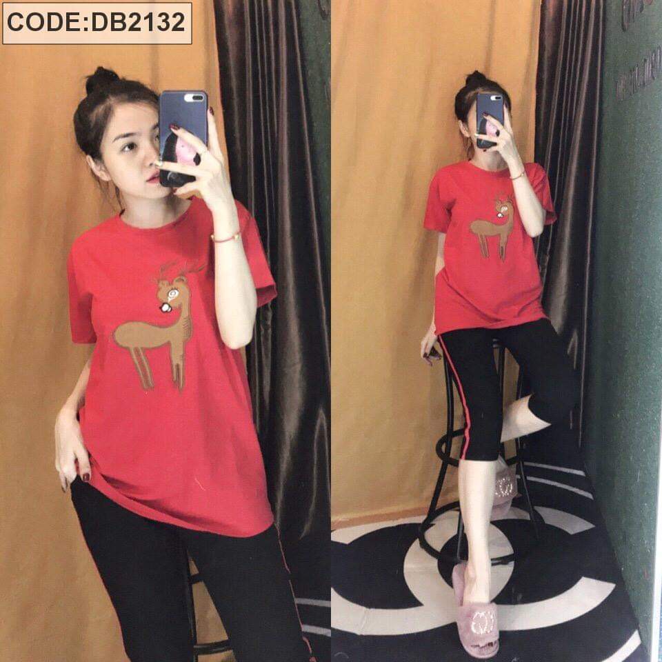 ĐỒ BỘ THUN MẶC NHÀ THỜI TRANG 3 SIZE 45-65KG TÙY CHIỀU CAO | BigBuy360 - bigbuy360.vn