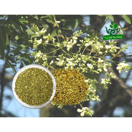 500g Trà Hòa Hòe Khô Nghệ An nguyên chất sấy xanh