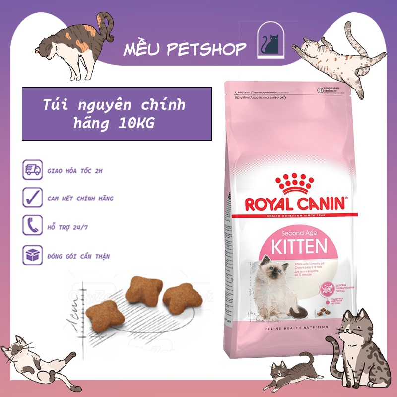 Hạt Royal Canin Kitten cho mèo con bao 10kg