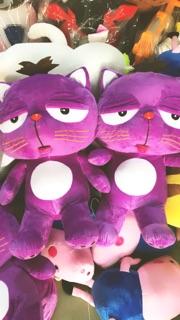 Mèo bông Dinga - 60cm