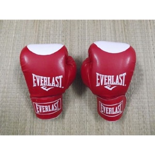 Găng tay Boxing Everlast
