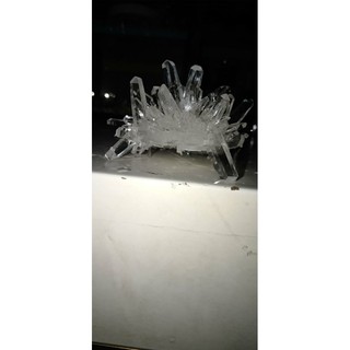 Bộ Nuôi Tinh Thể KDP