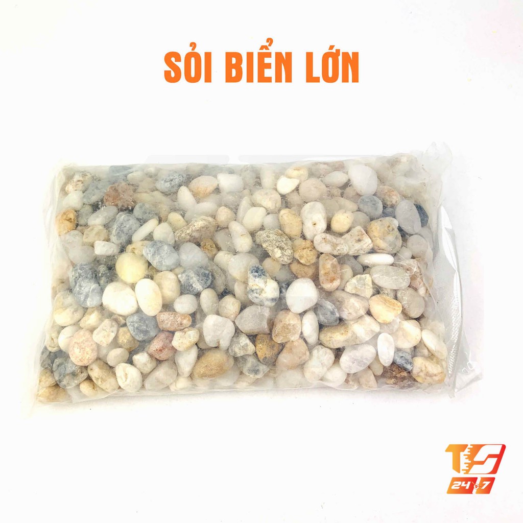 Sỏi Biển Trang Trí Hồ Cá, Bể Thủy Sinh - Tiểu Cảnh Sân Vườn, Lót Chậu