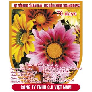 Hạt giống hoa cúc huân chương