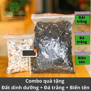 [ Quà Tặng Kèm ] Cây hạnh phúc bonsai