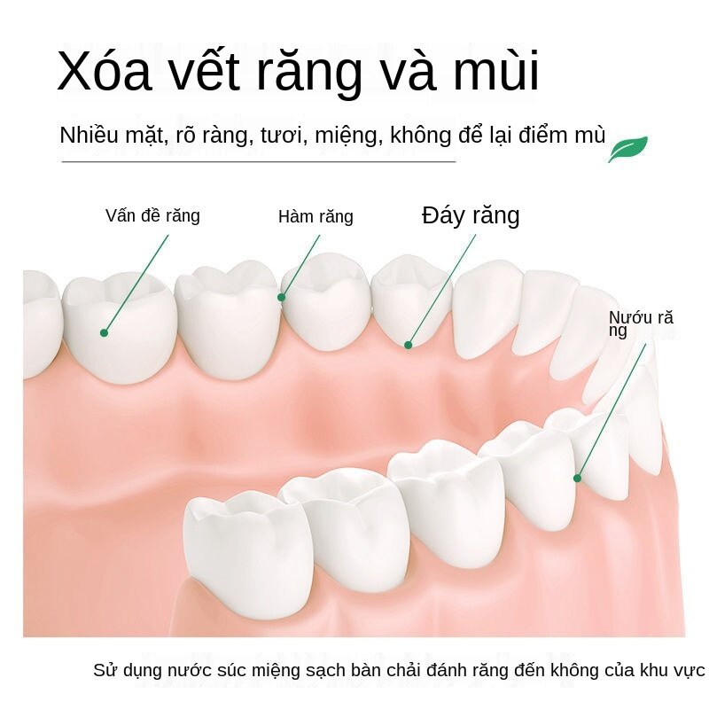 [Ngoại Trừ Hơi Thở Hôi Tạo Tác]Nước Súc Miệng Ngoài Hơi Thở Hôi Dùng M