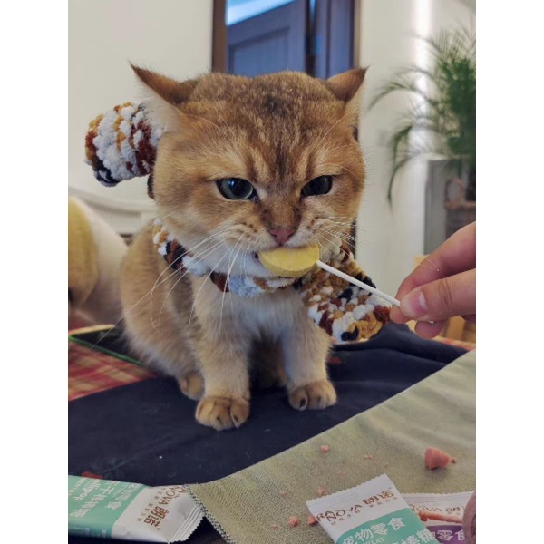 Bánh Thưởng Que Sấy Lollipop Cho Cún Mèo - 1.4g