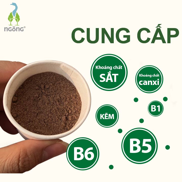 Bột Sữa Hạt Đòng Đòng Nâu 100gr Vị Cacao