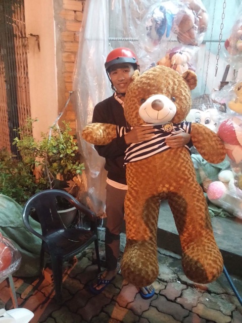 Gấu teddy khổ vải 1m5