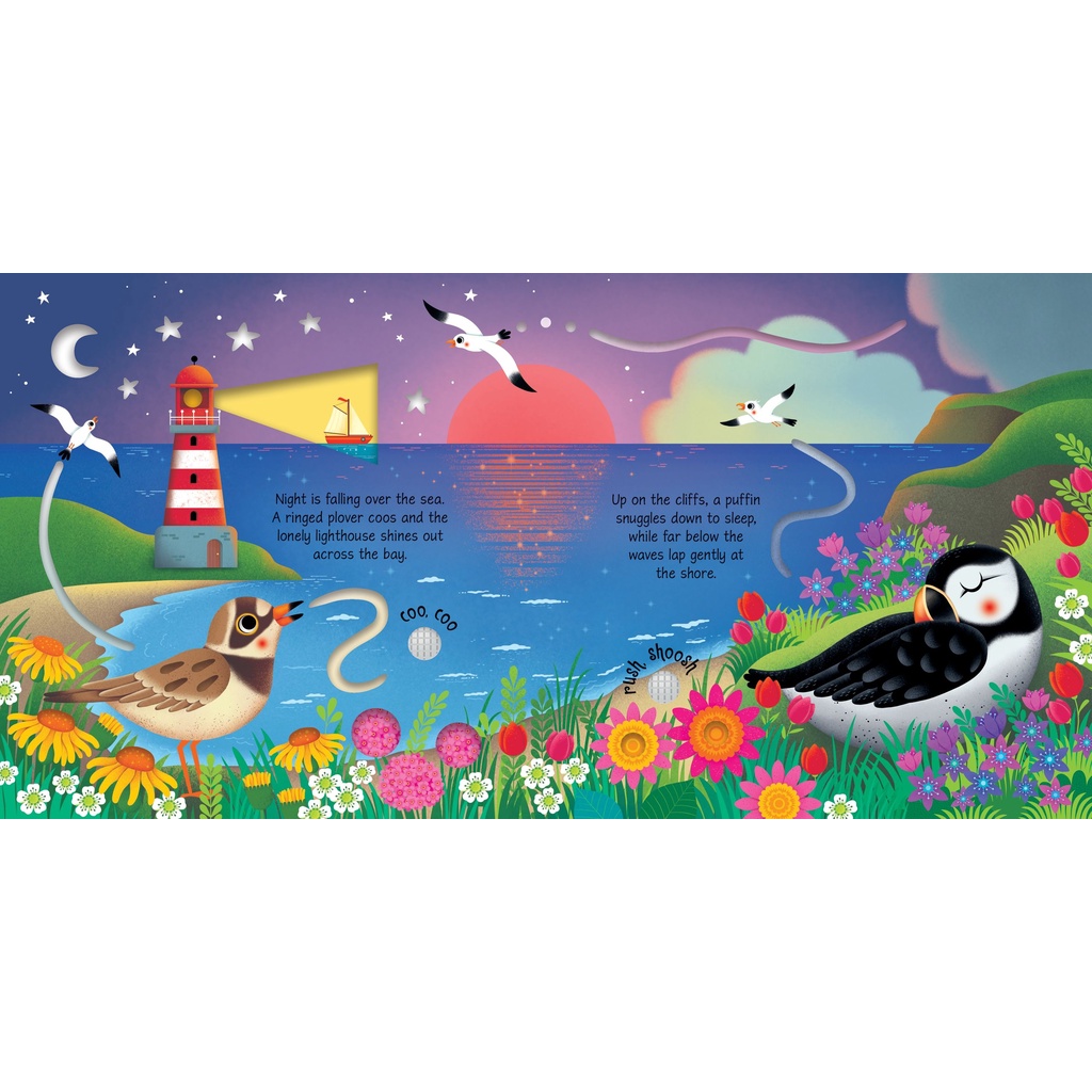 Sách âm thanh Usborne - Seashore Sounds - Âm thanh đại dương, biển cả phát triển ngôn ngữ cho bé