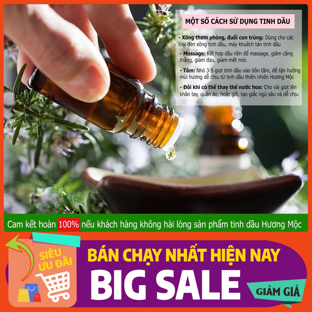 Tinh dầu thiên nhiên Hương Thảo 10ML - Rosemary Essential Oil 10ML - Tinh dầu nguyên chất có kiểm định COA