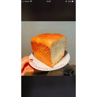 Máy làm bánh mì Petrus PE8855