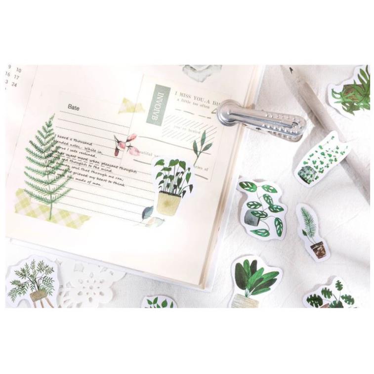 Bộ 45 Sticker Cây Cảnh E116