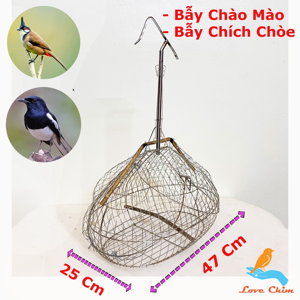 Lồng bẫy chào mào, chim khuyên chất liệu inox giá rẻ siêu nhạy, Bẫy chim Chào Mào - Khuyên giá rẻ, Lụp bẫy chim LOVECHIM