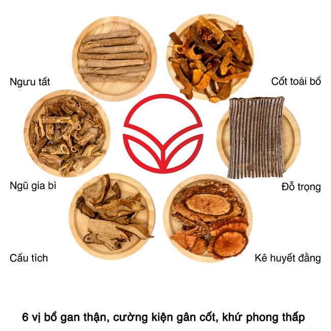 Thang ngâm rượu cao cấp – Đại Bổ Thang